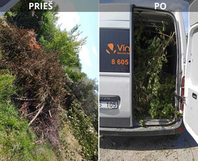 &Scaron;akų i&scaron;vežimas - Pigiausi baldu, &scaron;aku, &scaron;iuk&scaron;liu , gruzo i&scaron;vežimas! - 1