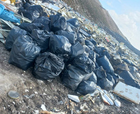 Aplinkos tvarkymas, apželdinimas - Pigiausi baldu, &scaron;aku, &scaron;iuk&scaron;liu , gruzo i&scaron;vežimas! - 2