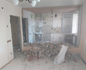 Griovimo darbai šiukšliu išvežimas / Audrius / Darbų pavyzdys ID 3364944