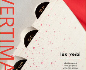 Profesionalūs vertimai ir kitos lingvistinės paslaugos / Vertimų biuras „Lex verbi“ / Darbų pavyzdys ID 3365186