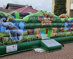 Batutų nuoma, Putu patranka! Panevėžyje ir Visoje Lietuvoje! / Mantas Sadauskas / Darbų pavyzdys ID 3365720