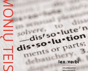 Profesionalūs vertimai ir kitos lingvistinės paslaugos / Vertimų biuras „Lex verbi“ / Darbų pavyzdys ID 3367182