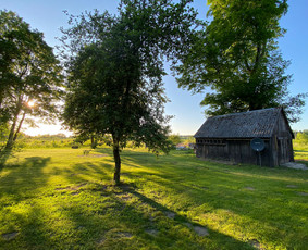 Aplinkos priežiūros darbai, žolės pjovimas / Ingridas Kazlauskas / Darbų pavyzdys ID 3367358