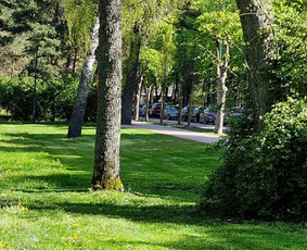 Aplinkos priežiūros darbai, žolės pjovimas / Ingridas Kazlauskas / Darbų pavyzdys ID 3367360