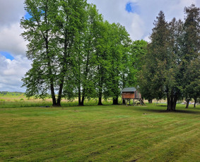 Aplinkos priežiūros darbai, žolės pjovimas / Ingridas Kazlauskas / Darbų pavyzdys ID 3367362