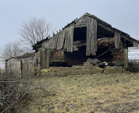 Griovimo darbai, šiukšliu išvežimas! / Domantas / Darbų pavyzdys ID 3368044