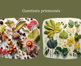 Logo ir Vizualinis identetas - Spaudos maketų gamyba - 4 Spaudos maketų gamyba - Logo ir Vizualinis identetas - 4