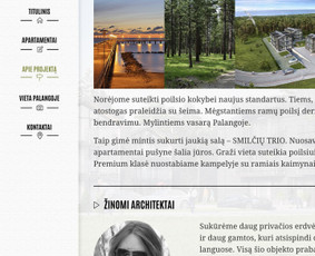 Naujienlaiškių kūrimas ir sklaida - Tekstų kūrėjas [*] Internetinės svetainės - 1