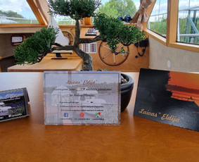 Laivo nuoma Kauno mariose + Fotografė / MB "Eldija" / Darbų pavyzdys ID 3371138