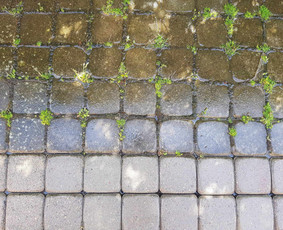 Trinkelių,terasų,fasadų,kietų paviršių plovimas / Švaros Švyturys / Darbų pavyzdys ID 3371290