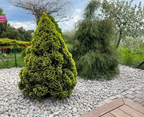 Alpinariumų, gėlynų įrengimas - &Scaron;laitų.pakrančių tvirtinimas-kiemo projekravimas,įrengimas - 2