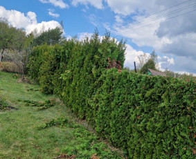 Aplinkos priežiūra, vejos įrengimas, aeravimas, genėjimas / Aplinkos, želdinių tvarkymo darbai / Darbų pavyzdys ID 3372716