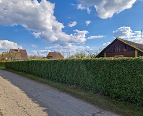Aplinkos priežiūra, vejos įrengimas, aeravimas, genėjimas / Aplinkos, želdinių tvarkymo darbai / Darbų pavyzdys ID 3372720