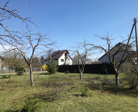 Vejos pjovimas, gyvatvorių, vaismedžių genėjimas / Paulius Mikelinskas / Darbų pavyzdys ID 649949