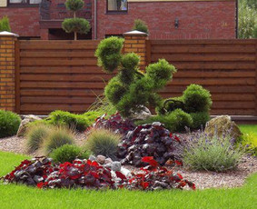 Alpinariumų, gėlynų įrengimas - Apželdinimo projektai. Apželdinimas - 1