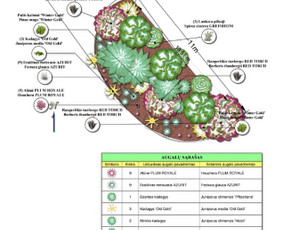 Apželdinimo konsultacija - Apželdinimo projektai. Apželdinimas - 2