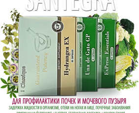 Santegra maisto papildai - Alla / Alla Nekrasova / Darbų pavyzdys ID 650123