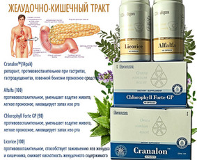 Santegra maisto papildai - Alla / Alla Nekrasova / Darbų pavyzdys ID 650159