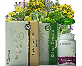 Santegra maisto papildai - Alla - Prekyba - 2 Prekyba - Santegra maisto papildai - Alla - 2