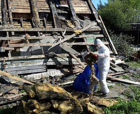 Postatybinis valymas ir kiti valymai / GRIOVEJAS / Darbų pavyzdys ID 3374972