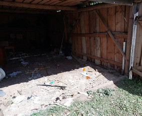 Griovimo darbai šiukšliu išvežimas / Audrius / Darbų pavyzdys ID 3376834