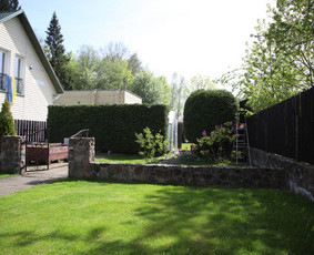 Vaismedžių/medžių genėjimas, gyvatvorių karpymas, šienavimas / Pavelas / Darbų pavyzdys ID 3377018