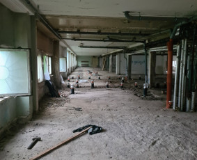 Greiti griovimo darbai! Šiukšlių Išvežimas ! / MT / Darbų pavyzdys ID 3377252