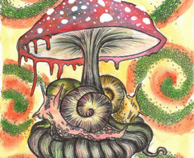 Iliustravimas - Iliustruotojai - 1 Iliustruotojai - Iliustravimas - 1