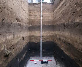 Archeologas, Archeologiniai tyrimai - Archeologai - 4 Archeologai - Archeologas, Archeologiniai tyrimai - 4