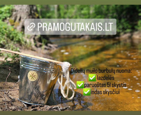 Mobilių kubilų, medinių lauko/vidaus žaidimų nuoma / medinių lauko/vidaus žaidimų nuoma / Darbų pavyzdys ID 3379246