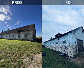 Dailininkė, dizainerė, dekoratorė / Žiedūnė Aleknaitė / Darbų pavyzdys ID 3380504