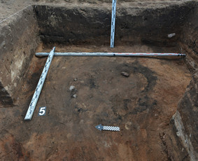 Archeologas, Archeologiniai tyrimai / Dovilas Petrulis / Darbų pavyzdys ID 3380616