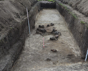 Archeologas, Archeologiniai tyrimai / Dovilas Petrulis / Darbų pavyzdys ID 3380630