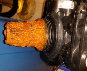 Neblogas vaidelis