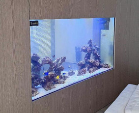 Akvariumų klijavimas, įrengimas, priežiūra - Akvariumų specialistai - 1 Akvariumų specialistai - Akvariumų klijavimas, įrengimas, priežiūra - 1