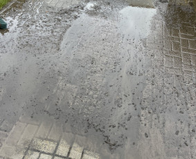 Trinkelių, fasadų, stogų plovimas / Aplinkos Priežiūra / Darbų pavyzdys ID 3380940