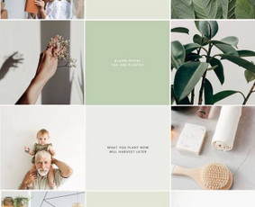 Socialinių tinklų administravimas/vizualo/turinio kūrimas/ - Interneto svetainių administratoriai - 4 Interneto svetainių administratoriai - Socialinių tinklų administravimas/vizualo/turinio kūrimas/ - 4