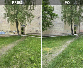 Spec. valymas: grafičių, fasado, sniego ir kt. / Profesionalus paviršių valymas. / Darbų pavyzdys ID 3381922
