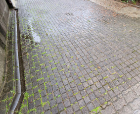 Trinkelių plovimas / ŽD projektai / Darbų pavyzdys ID 3383770