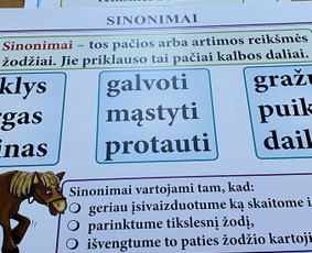 Pradinio ir priešmokyklinio ugdymo pedagogė / Loreta Ponelienė / Darbų pavyzdys ID 3383784