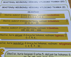 Pradinio ir priešmokyklinio ugdymo pedagogė / Loreta Ponelienė / Darbų pavyzdys ID 3383804
