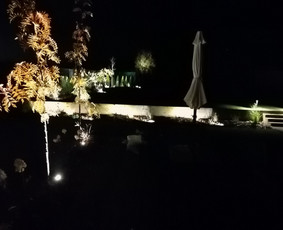 Vejos laistymo sistemos / Tomas / Darbų pavyzdys ID 3383842