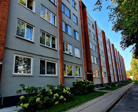 Stogų valymas ir priežiūra - Aukštalipiai, blokinių namų siūlių remontas - 2