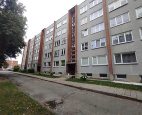 Stogų valymas ir priežiūra - Aukštalipiai, blokinių namų siūlių remontas - 4