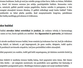 Turinys jūsų svetainei, straipsniai žiniasklaidai, Seo ir kt - Paslaugos verslui - 2 Paslaugos verslui - Turinys jūsų svetainei, straipsniai žiniasklaidai, Seo ir kt - 2