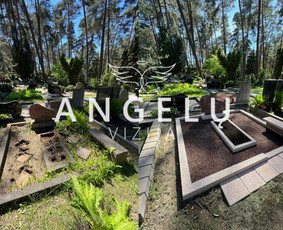 Angelų vizija - kapų tvarkymas / Angelų vizija / Darbų pavyzdys ID 3385934