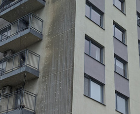 Fasadų,stogų ir kitų paviršių plovimas, srautinis valymas. / Švaros DNR / Darbų pavyzdys ID 3387168