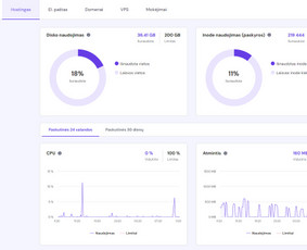 Svetainių talpinimas (Hosting) - Svetainių ir el. parduotuvių kūrimas / tvarkymas - 1