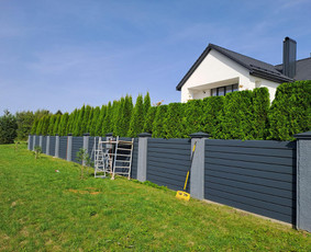 Gyvatvorių karpymas, žeminimas, formavimas / Vytautas R. / Darbų pavyzdys ID 3389912