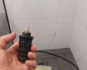 Buitinės technikos pajungimas remontas, santechnika / Aleksandras Jeljaševič / Darbų pavyzdys ID 3390844